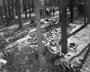 Ekshumacje w Miednoje w 1991 roku