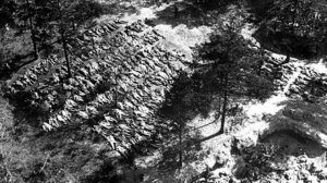 Widok z lotu ptaka na las katyński po odkryciu masowych grobów polskich oficerów w 1943 roku