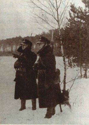 Patrol policyjny z psem zimą