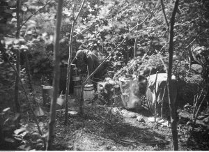 Nielegalna bimbrownia w lasach wileńskich w 1932 roku
