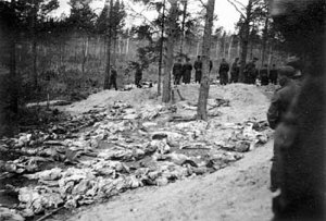 Masowy grób - ekshumacja w 1943 roku