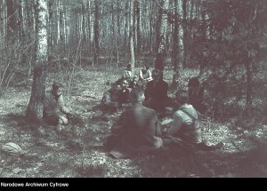 Grupa ludzi siedzących w lesie