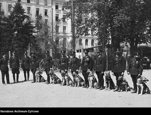 Pokaz psów policyjnych na placu przy ul. Bagatela w Warszawie