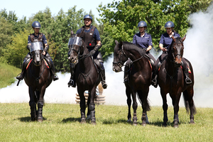 czterech policjantów na koniach