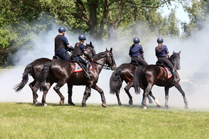 czterech policjantów na koniach w dymie