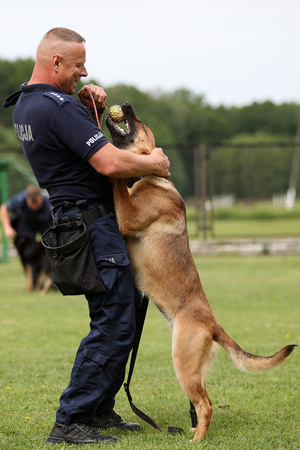 policjant bawi się z psem