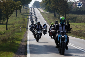 Kolumna motocyklistów jedzie szosą. Po obu stronach drogi liczne drzewa i krzewy.
